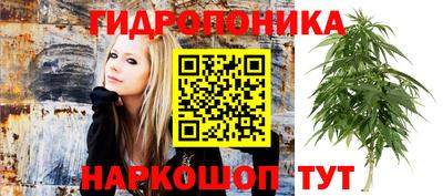 амфетамин Можга