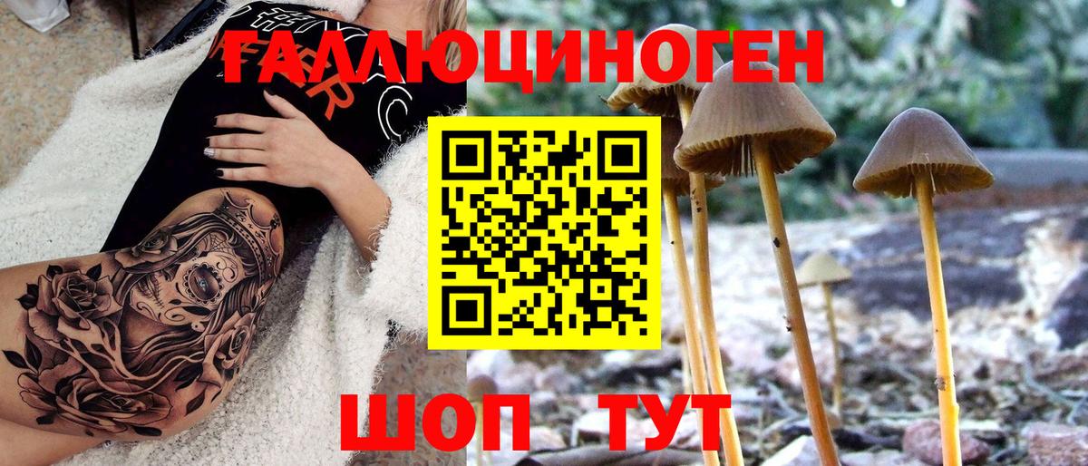 Галлюциногенные грибы мухоморы  Вход с VPN  Галлюциногенные грибы Psilocybe  Саратов 